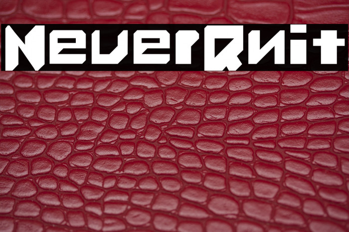 Never_Quit Example 2