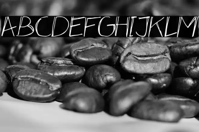 Nevermind Font examples