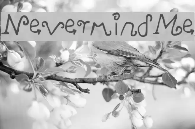 NevermindMe Font examples