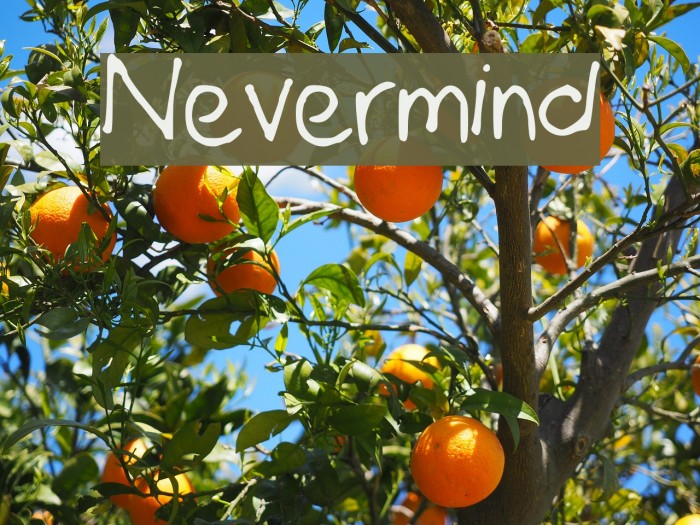 Nevermind Font examples