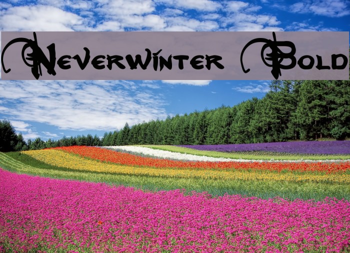 Neverwinter Bold Example 2