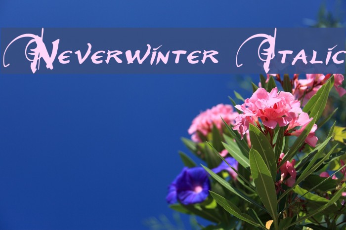 Neverwinter Italic Font examples