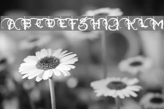 Neverwinter Normal Font examples