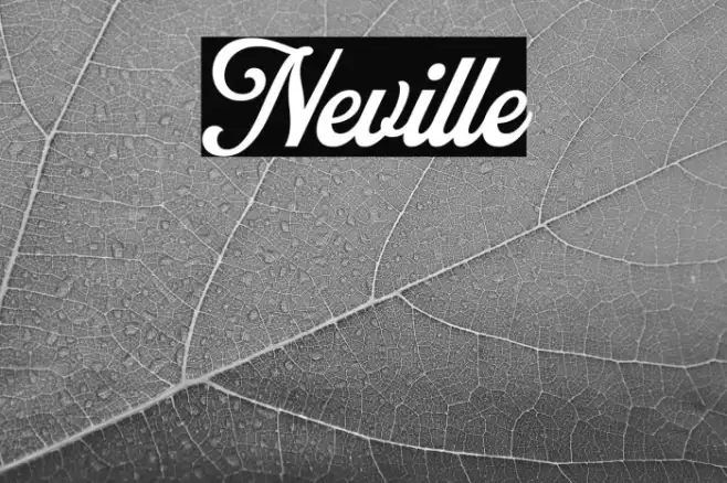 Neville Example 1