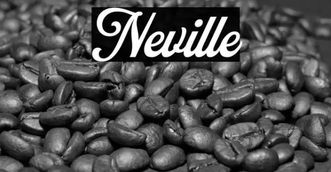 Neville Example 2