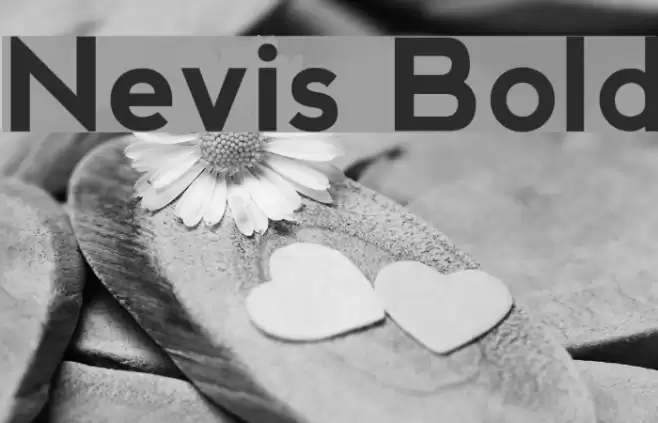 Nevis Bold Fonte examples