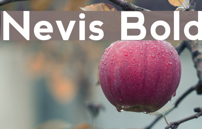 Nevis Bold Font examples