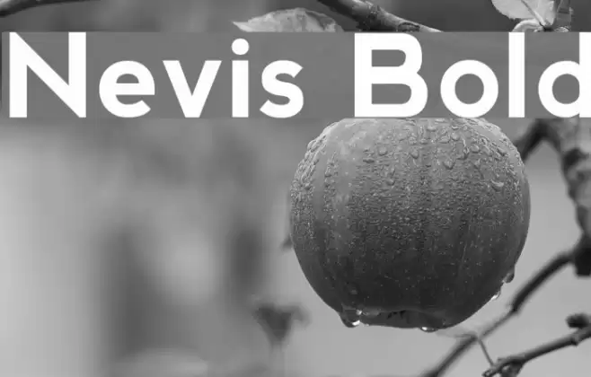 Nevis Bold Fonte examples