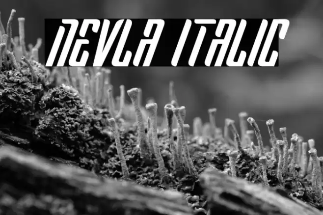 Nevla Italic Font examples