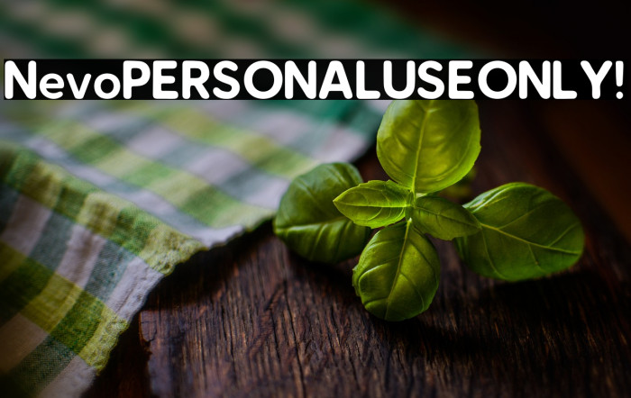 Nevo PERSONAL USE ONLY! Example 1