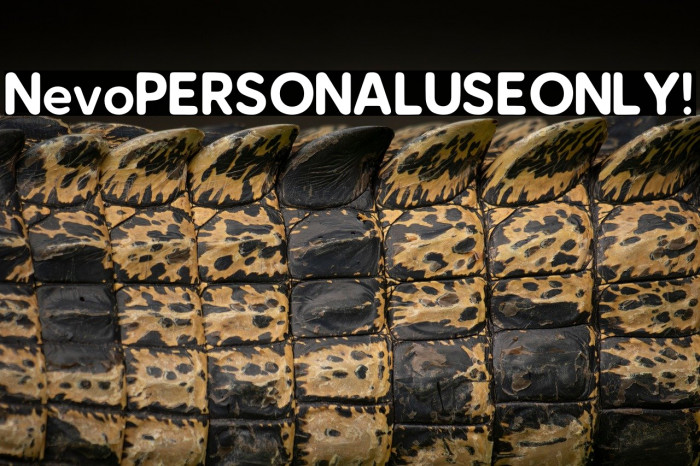 Nevo PERSONAL USE ONLY! Example 3