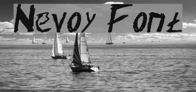 Nevoy Example 1