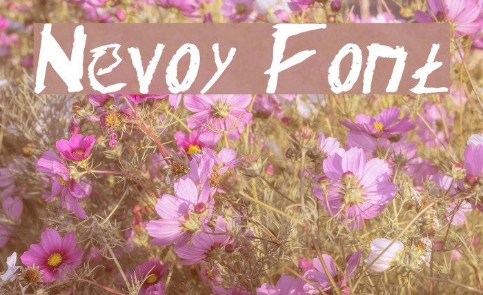 Nevoy Font examples