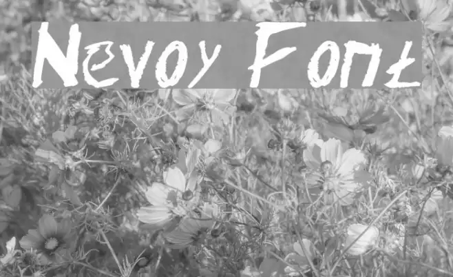 Nevoy Example 2