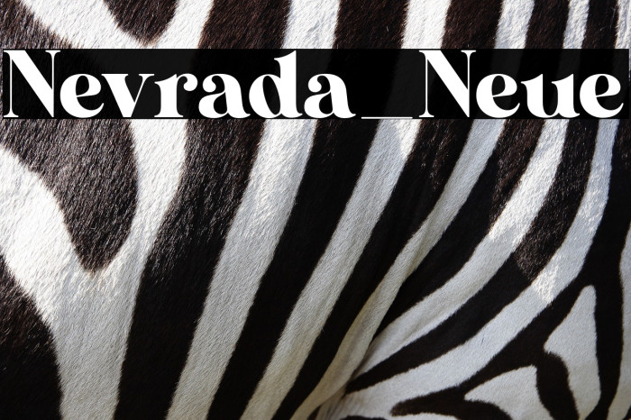 Nevrada_Neue Example 1