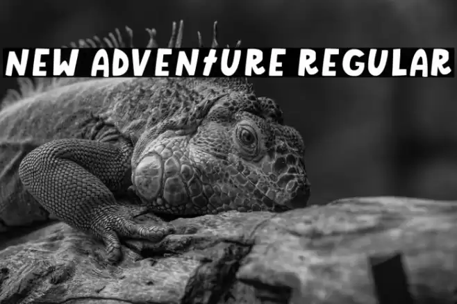 New Adventure Regular Font examples