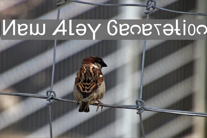 New Alay Generation Font examples