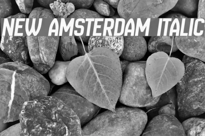 New Amsterdam Italic Font examples