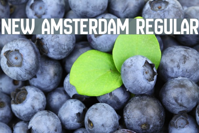 New Amsterdam Regular Font examples