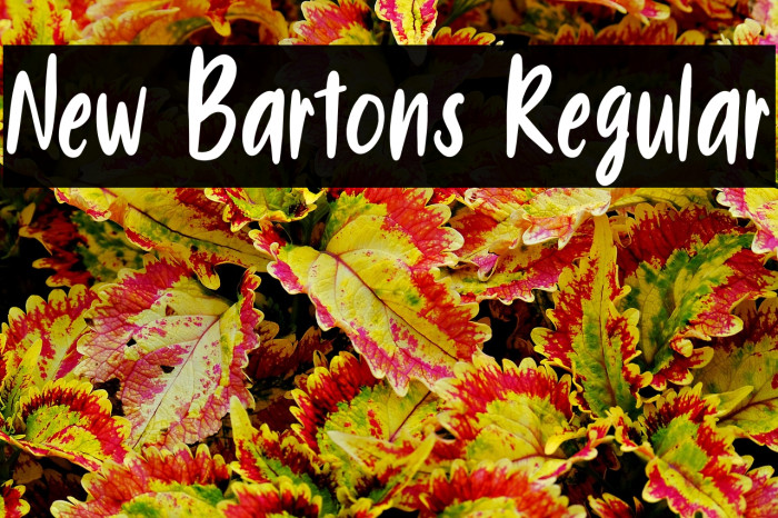 New Bartons Regular Example 3