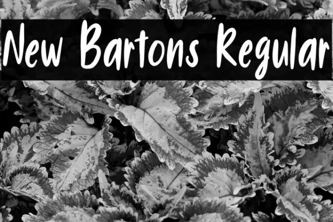 New Bartons Regular Example 3