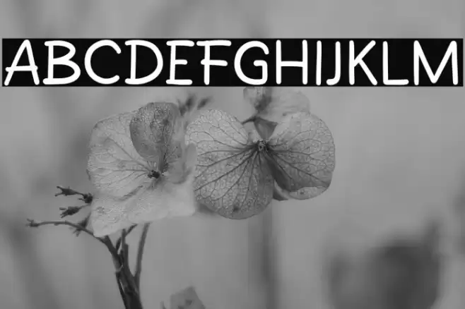 New Boba Caratteri examples