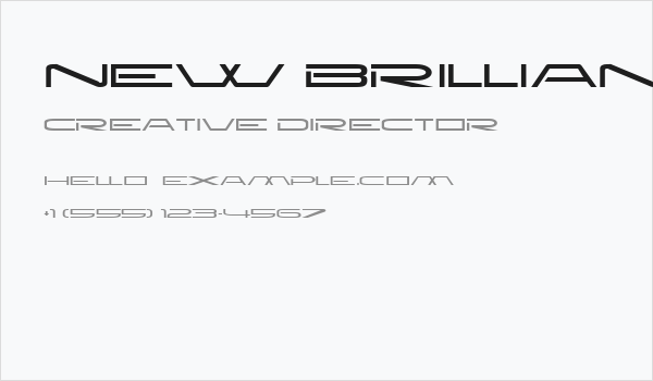 New Brilliant Business Card