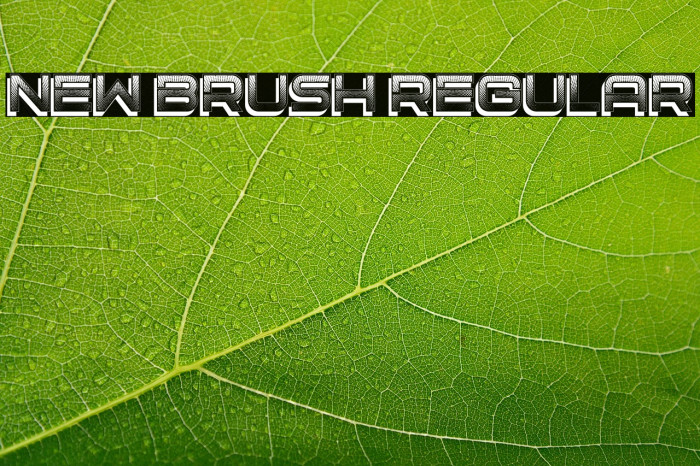 New Brush Regular Example 1