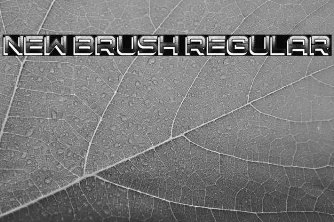 New Brush Regular Font examples