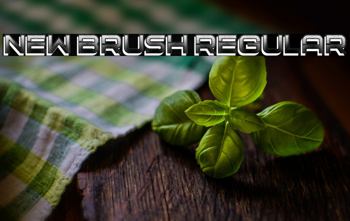 New Brush Regular Example 3