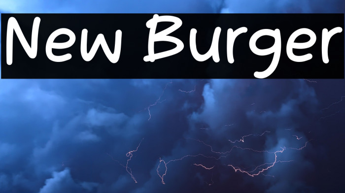 New Burger Example 1