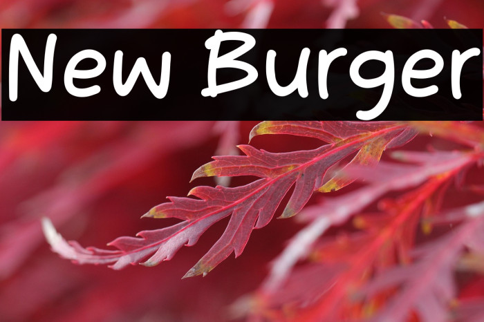 New Burger Example 2