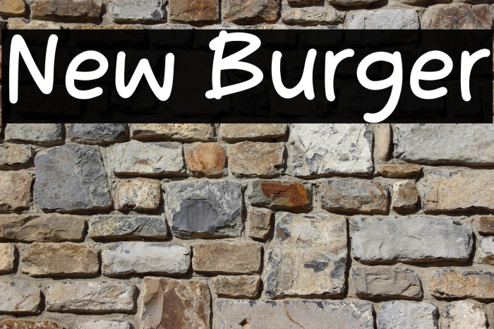 New Burger Example 3