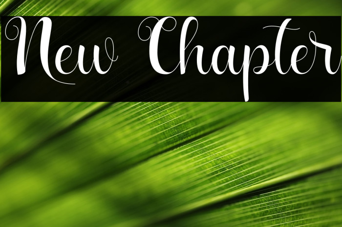 New Chapter Example 3