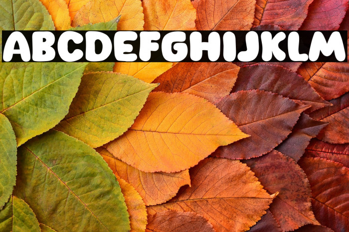 New Cheese Example 1