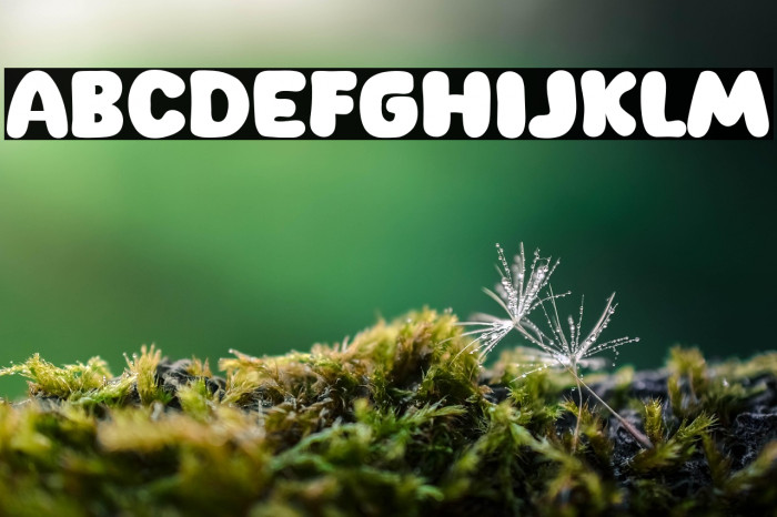 New Cheese Example 2