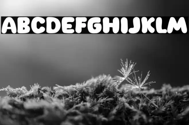 New Cheese Font examples