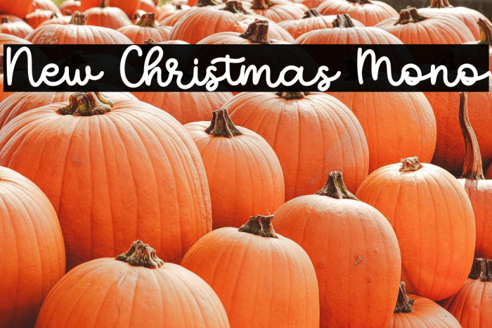 New Christmas Mono Example 3