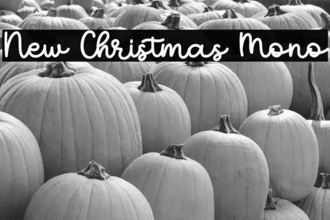 New Christmas Mono 字体 examples