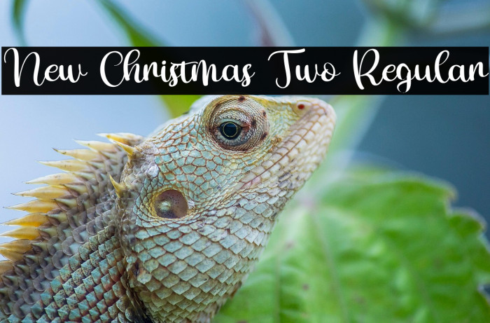 New Christmas Two Regular Example 1