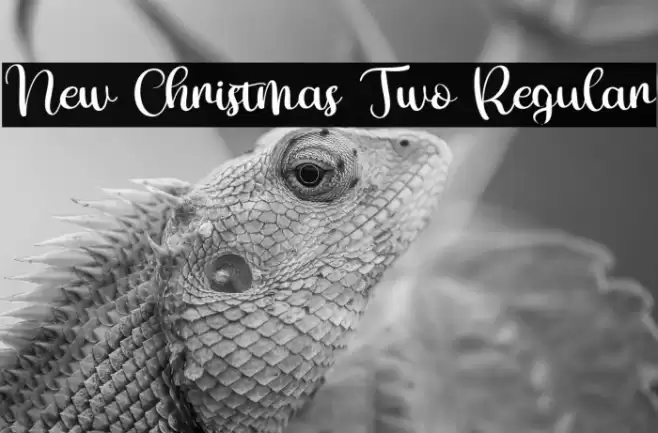 New Christmas Two Regular 字体 examples