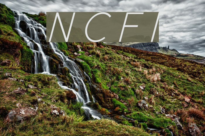 New Cicle Fina Italic Font examples