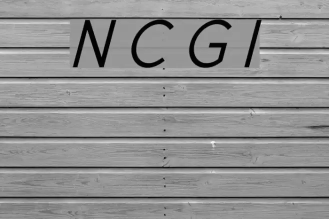 New Cicle Gordita Italic Font examples