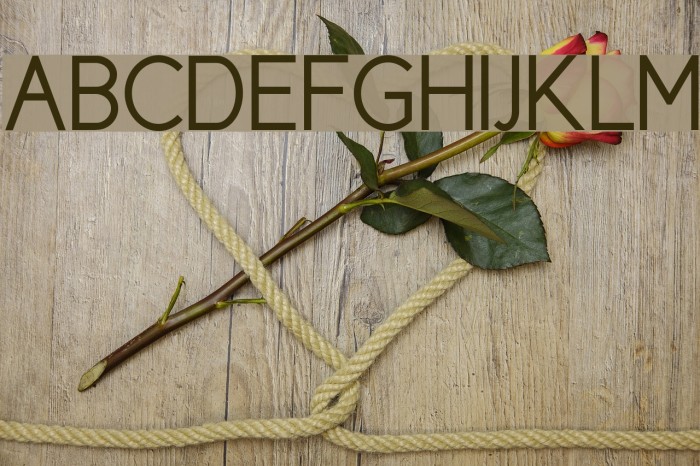 New Cicle Gordita Font examples