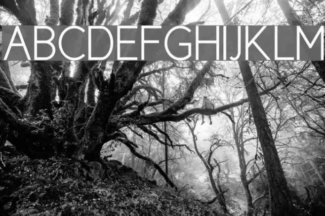 New Cicle Semi Font examples