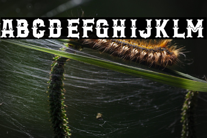 New City Gang Example 1