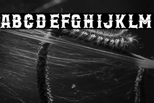 New City Gang Font examples