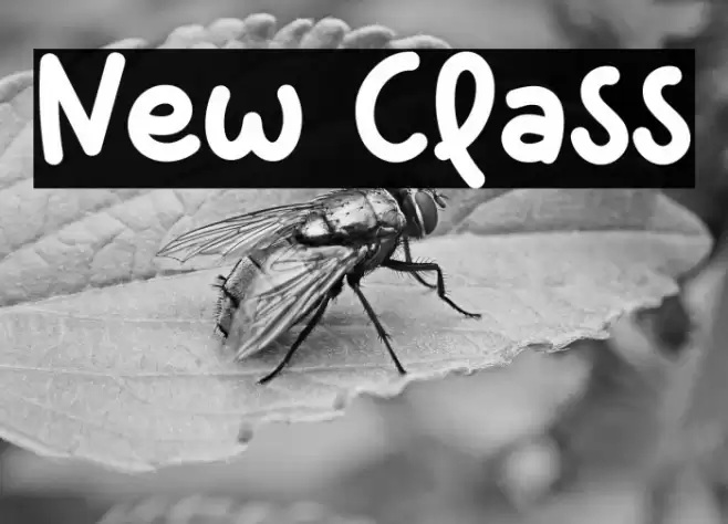 New Class フォント examples
