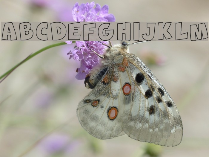 New Comic BD Outline Example 2