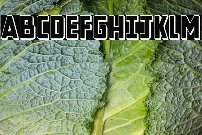 New Comic Title 3D Example 1